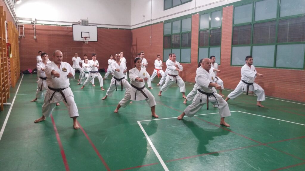 Actividad de kárate Foto
